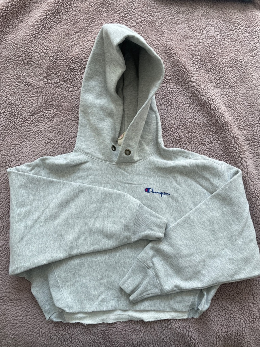 Champion Light Gray Cropped Hoodie with Embroidered Logo